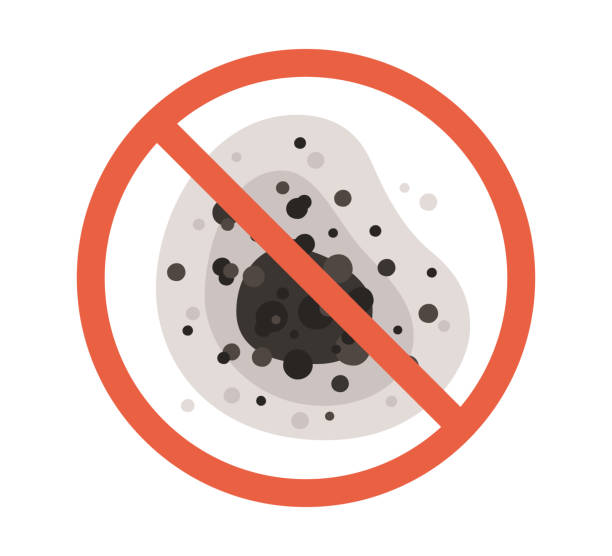 Dehumidification Services in Logan, OH